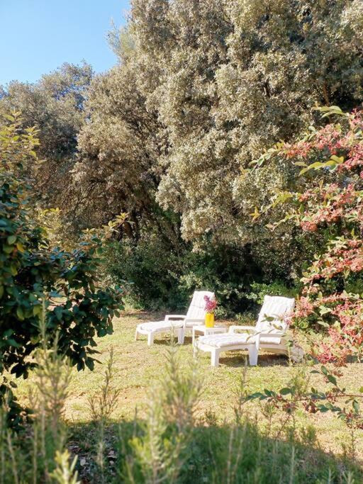 Studio Avec Jardin Entre Aix-En-Provence, Luberon Et Verdon Peyrolles-en-Provence Dış mekan fotoğraf