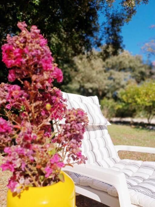Studio Avec Jardin Entre Aix-En-Provence, Luberon Et Verdon Peyrolles-en-Provence Dış mekan fotoğraf